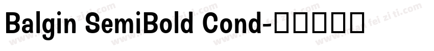 Balgin SemiBold Cond字体转换